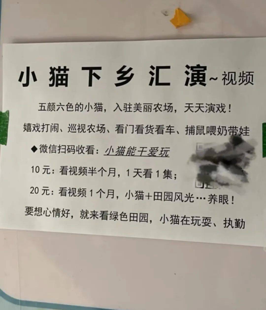 全網(wǎng)追蹤的“賣貓片”可疑廣告<strong></p>
<p>鋼筋網(wǎng)片
</strong>，結(jié)果出人意料:鋼筋網(wǎng)片
