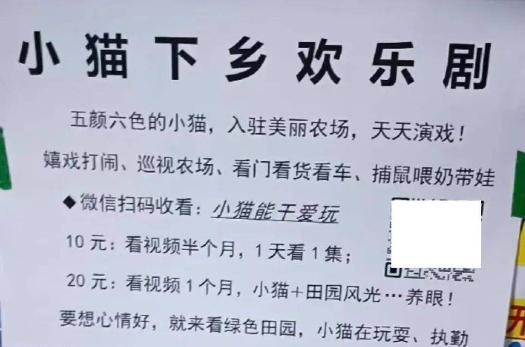 全網(wǎng)追蹤的“賣貓片”可疑廣告<strong></p>
<p>鋼筋網(wǎng)片
</strong>，結(jié)果出人意料:鋼筋網(wǎng)片
