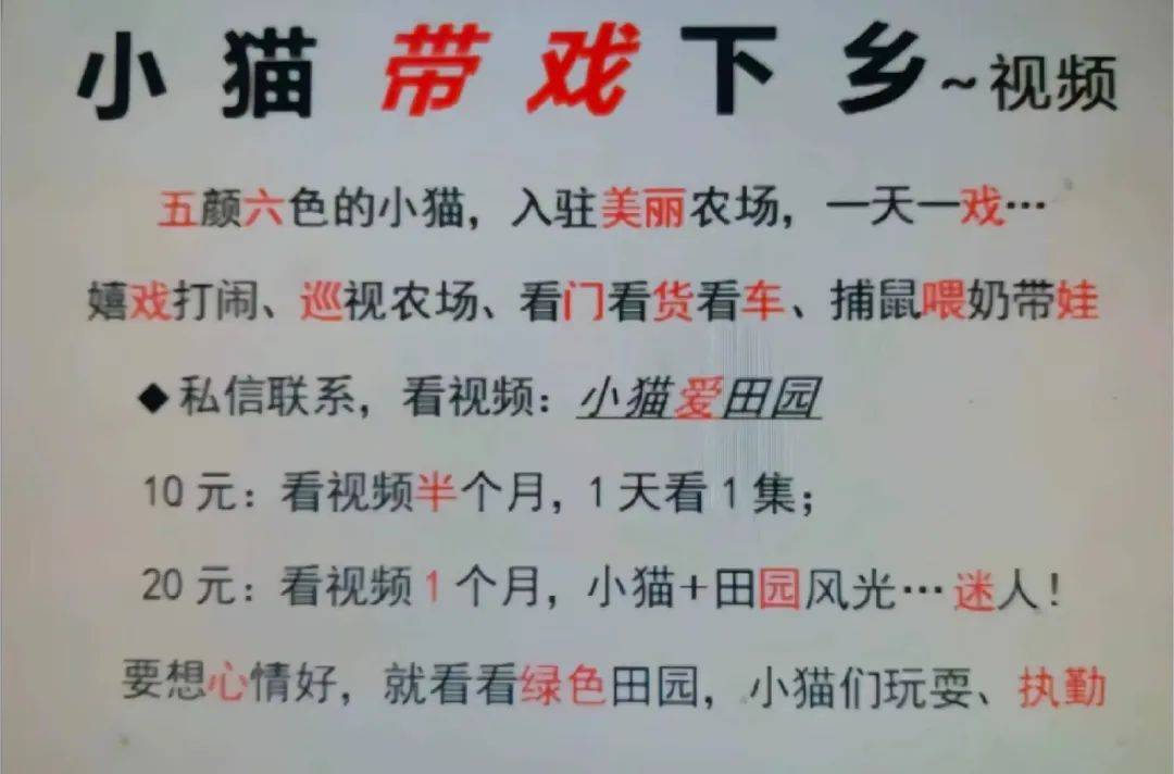 全網(wǎng)追蹤的“賣貓片”可疑廣告<strong></p>
<p>鋼筋網(wǎng)片
</strong>，結(jié)果出人意料:鋼筋網(wǎng)片
