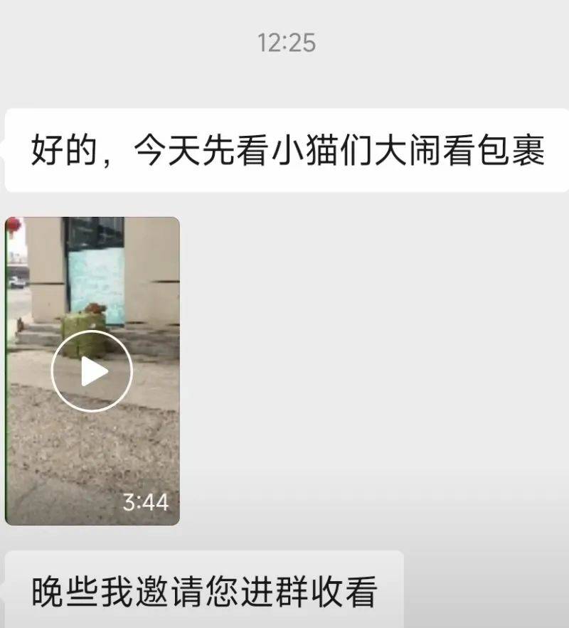 全網(wǎng)追蹤的“賣貓片”可疑廣告<strong></p>
<p>鋼筋網(wǎng)片
</strong>，結(jié)果出人意料:鋼筋網(wǎng)片
