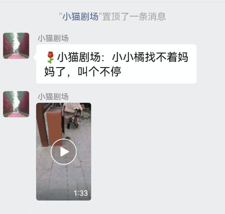 全網(wǎng)追蹤的“賣貓片”可疑廣告<strong></p>
<p>鋼筋網(wǎng)片
</strong>，結(jié)果出人意料:鋼筋網(wǎng)片
